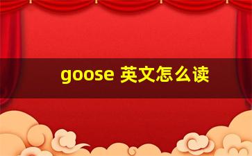 goose 英文怎么读